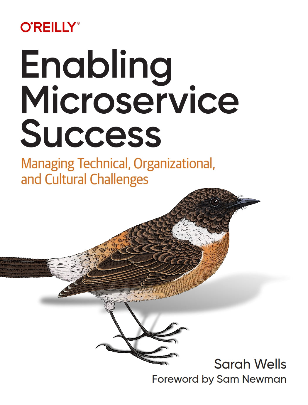 Enabling Microservice Success image 0