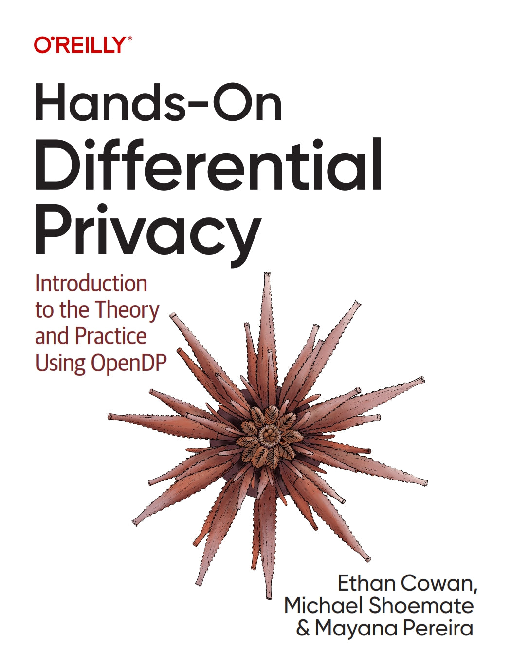 Hands-On Differential Privacy image 0