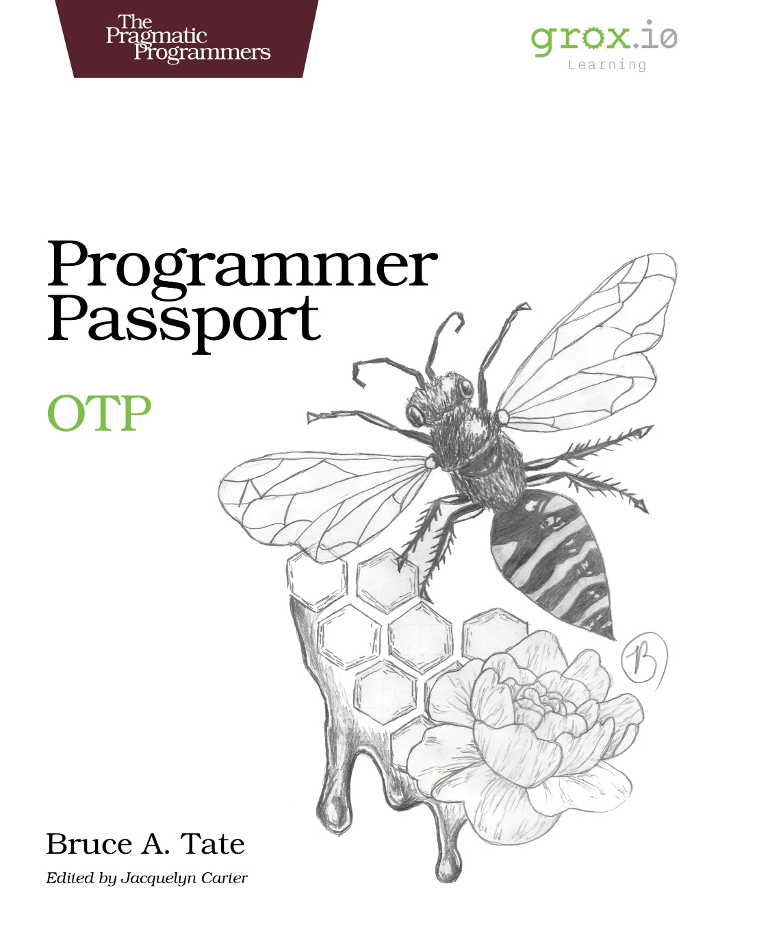 Programmer Passport, OTP image 0