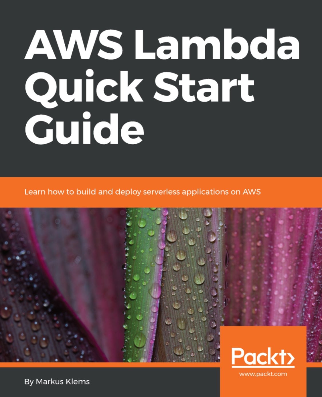 AWS Lambda Quick Start Guide image 0