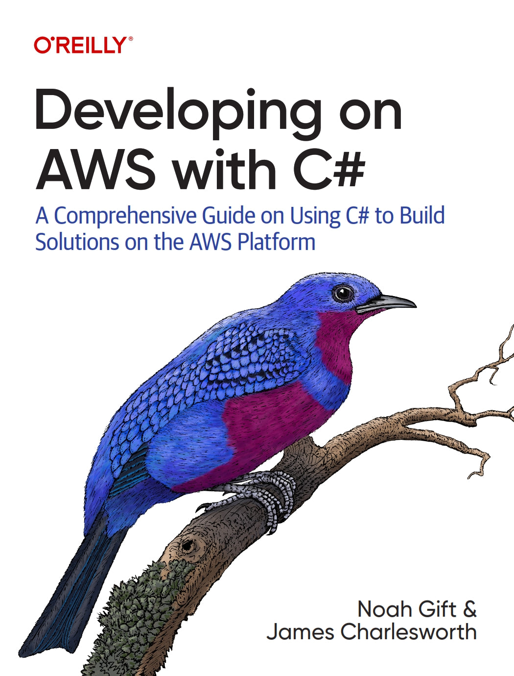 Developing on AWS With C# image 0