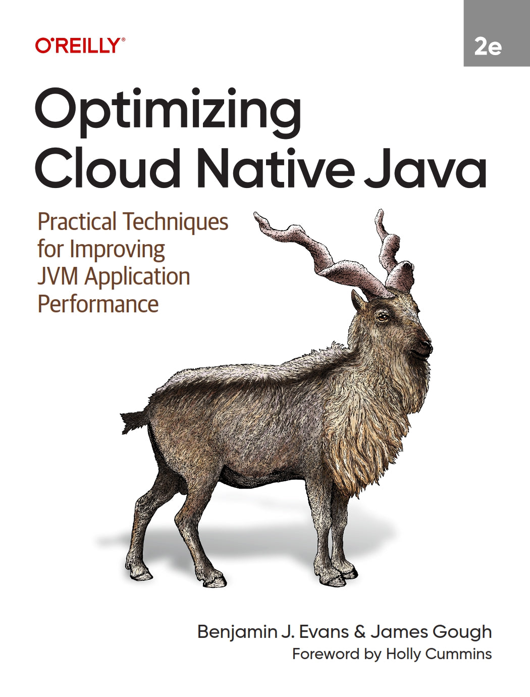 Optimizing Cloud Native Java image 0