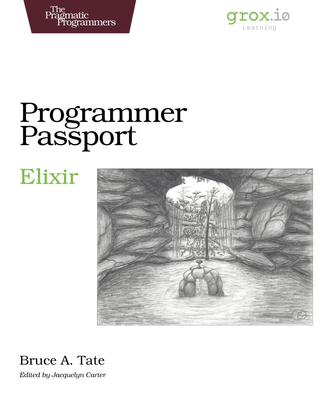 Programmer Passport, Elixir image 0
