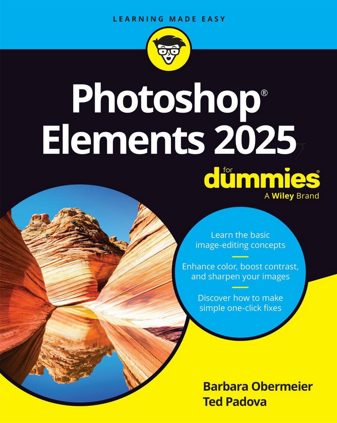 Photoshop Elements 2025 For Dummies image 0