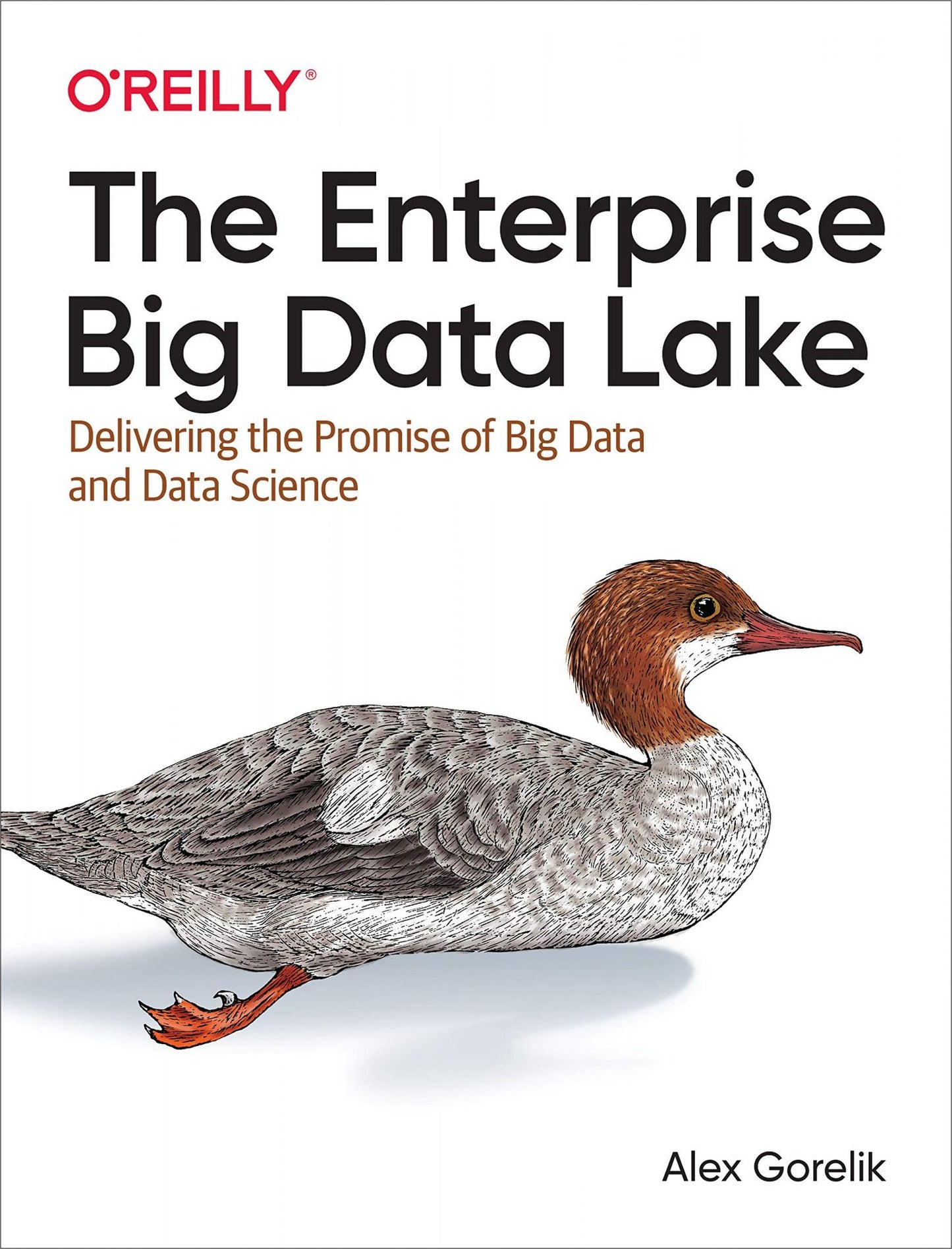 The Enterprise Big Data Lake image 0