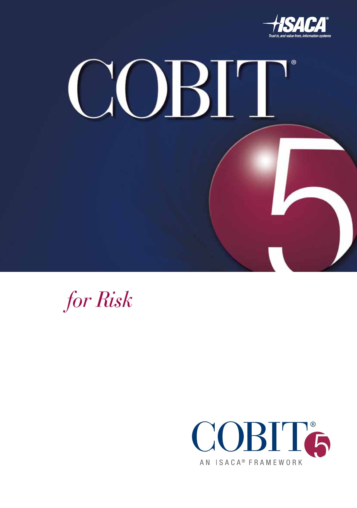 COBIT 5 for Risk image 0