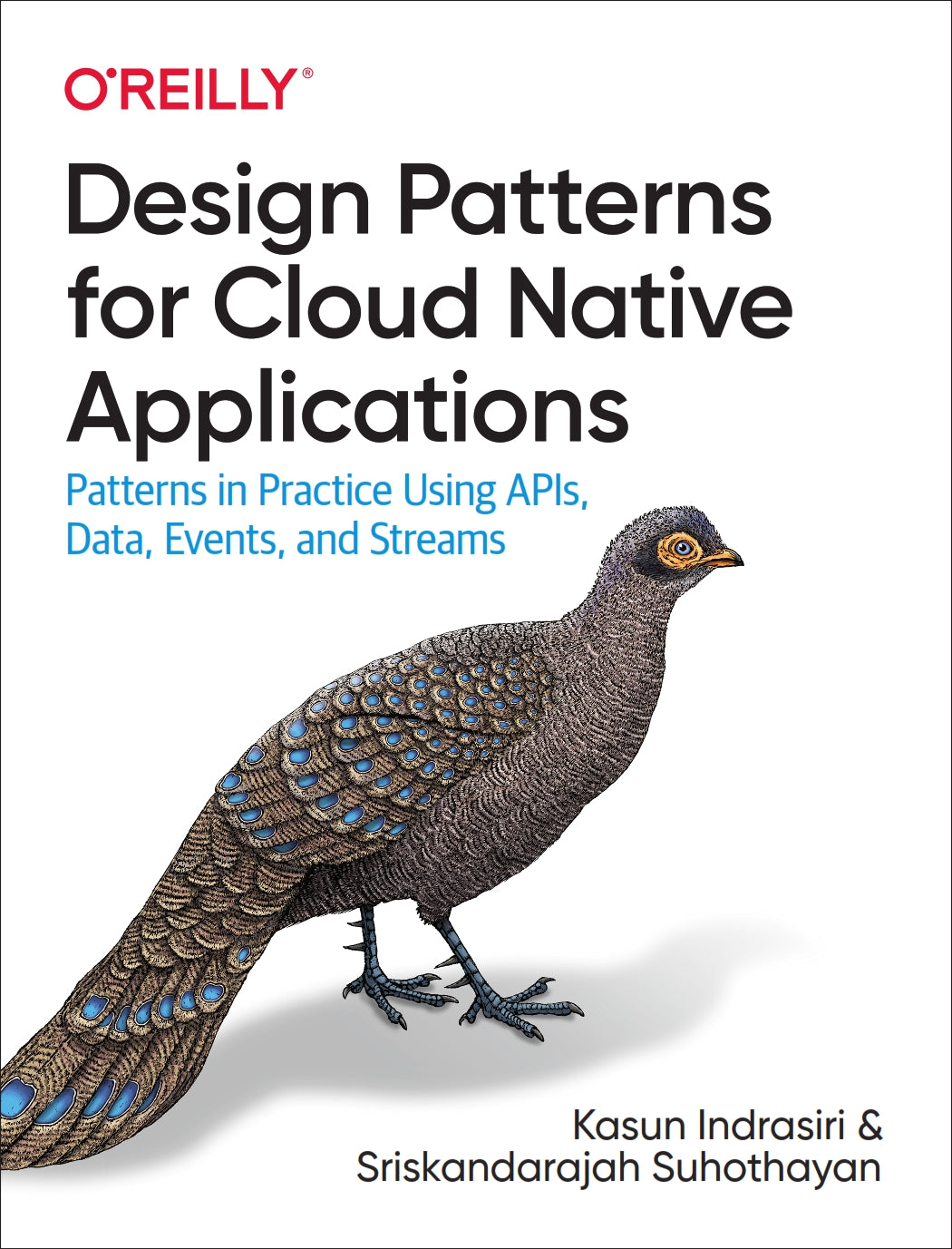 Design Patterns for Cloud Native Applications image 0
