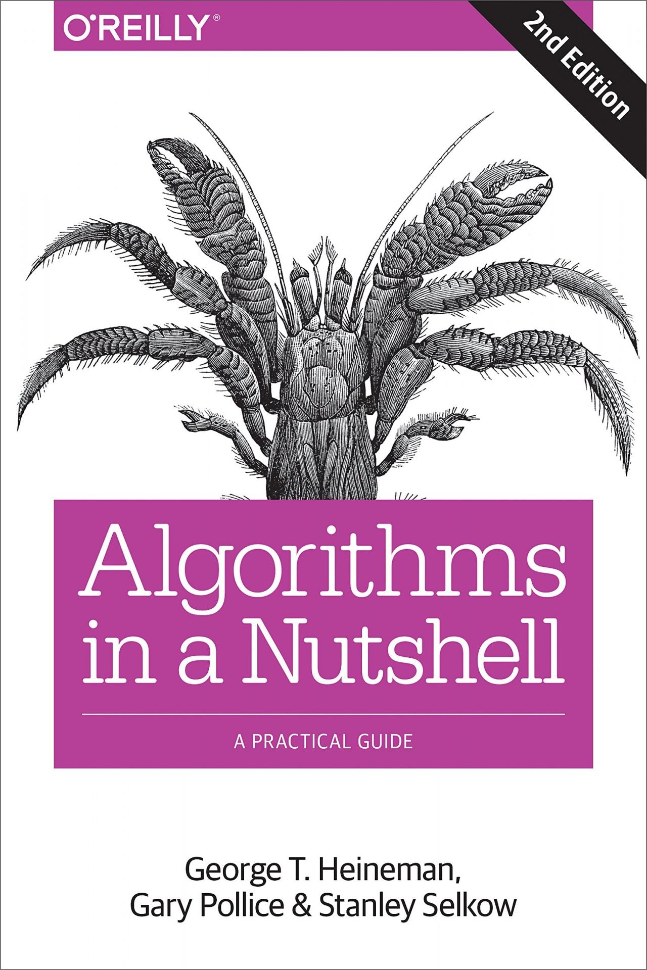 Algorithms in a Nutshell image 0