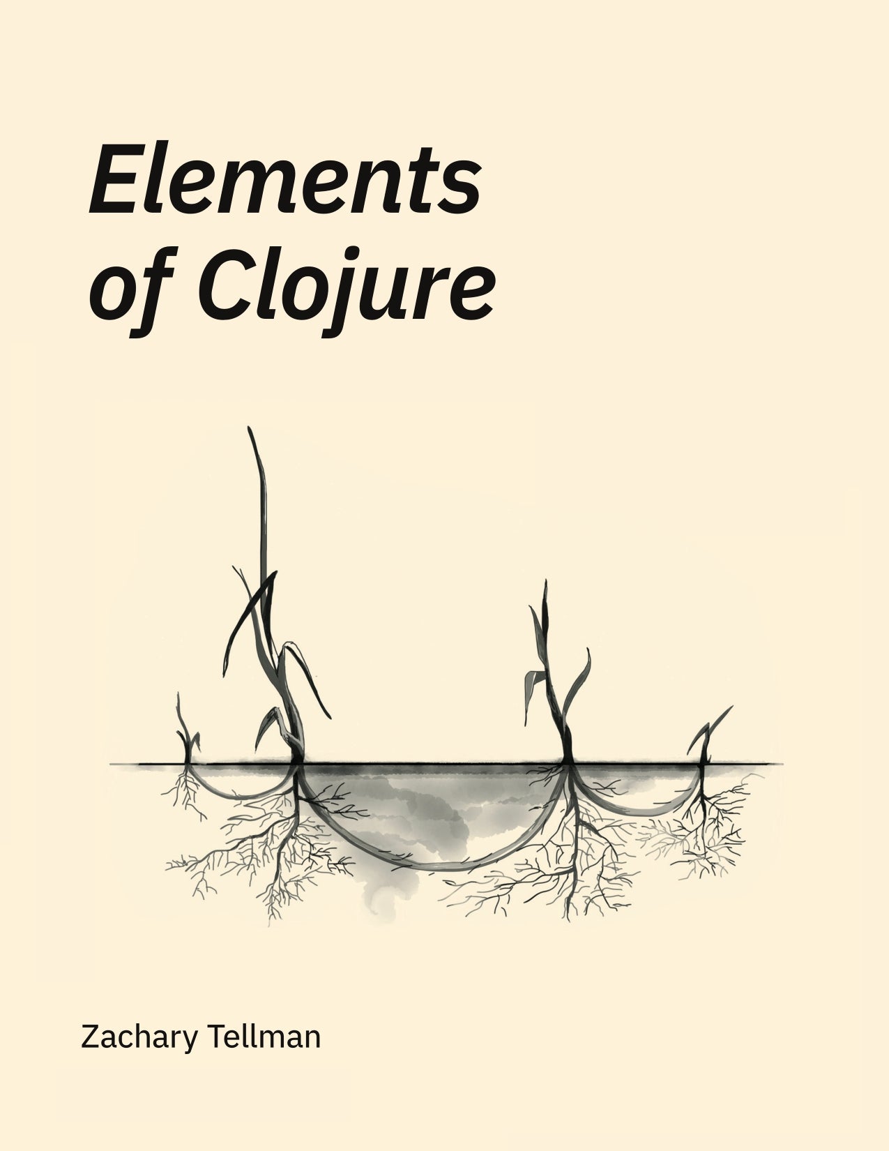 Elements of Clojure image 0