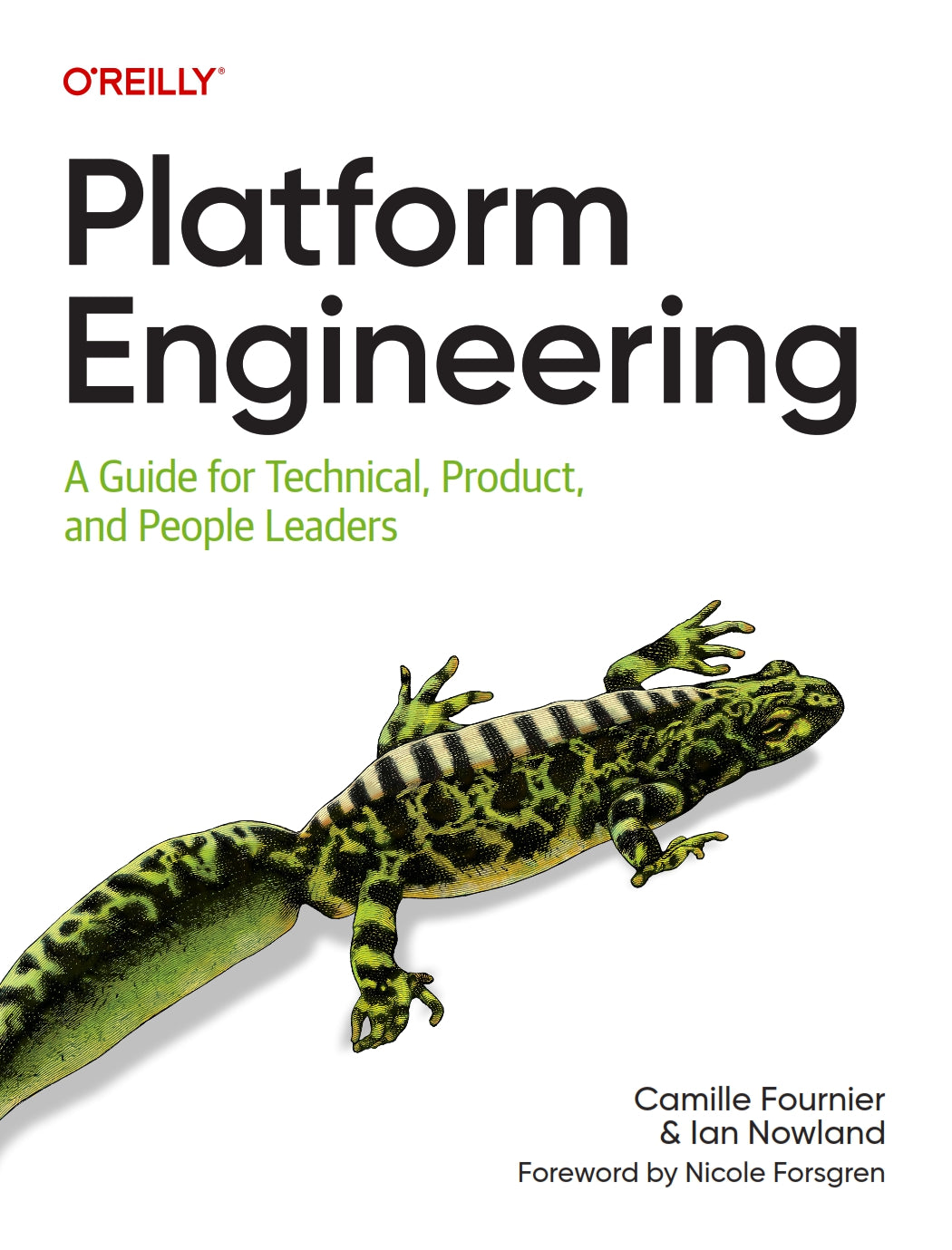 Platform Engineering image 0