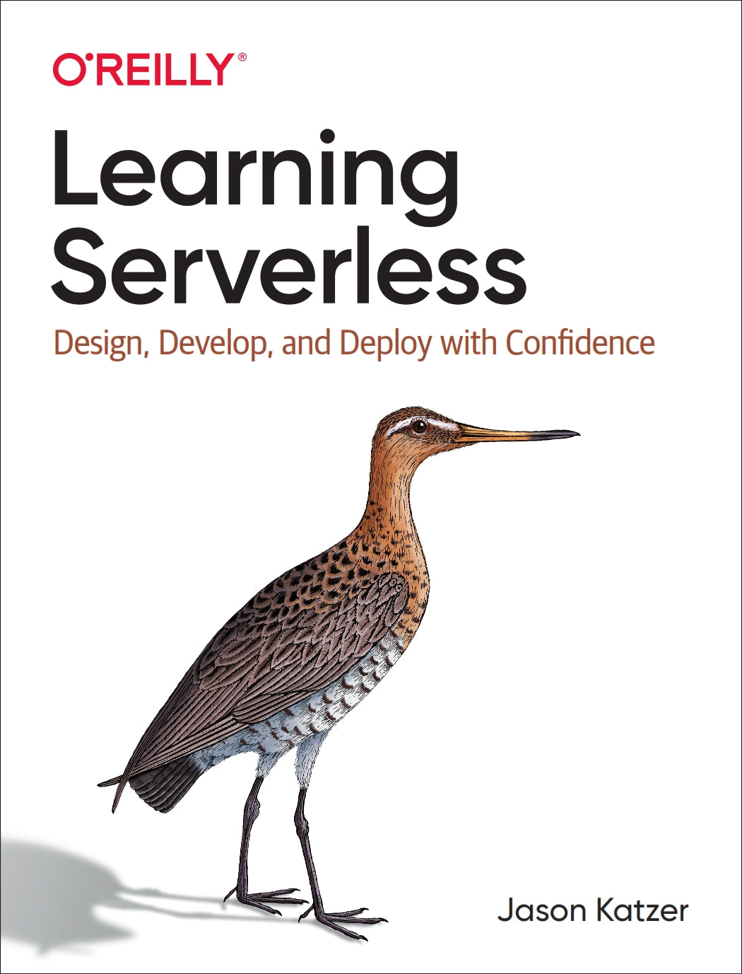 Learning Serverless image 0