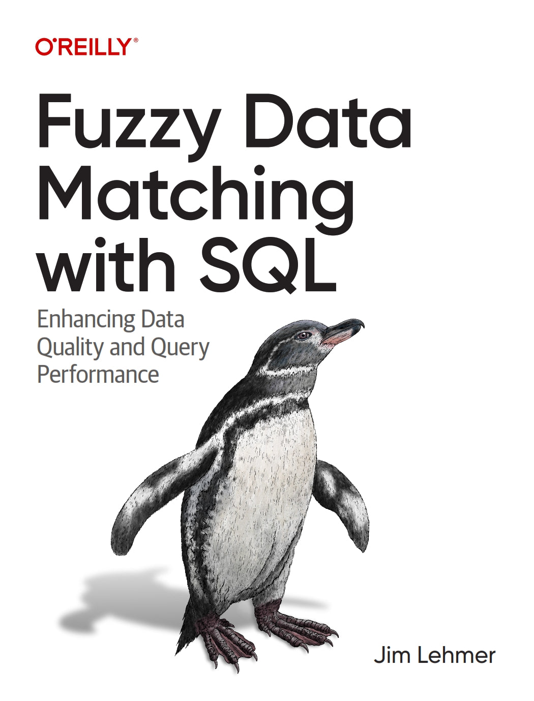 Fuzzy Data Matching with SQL image 0