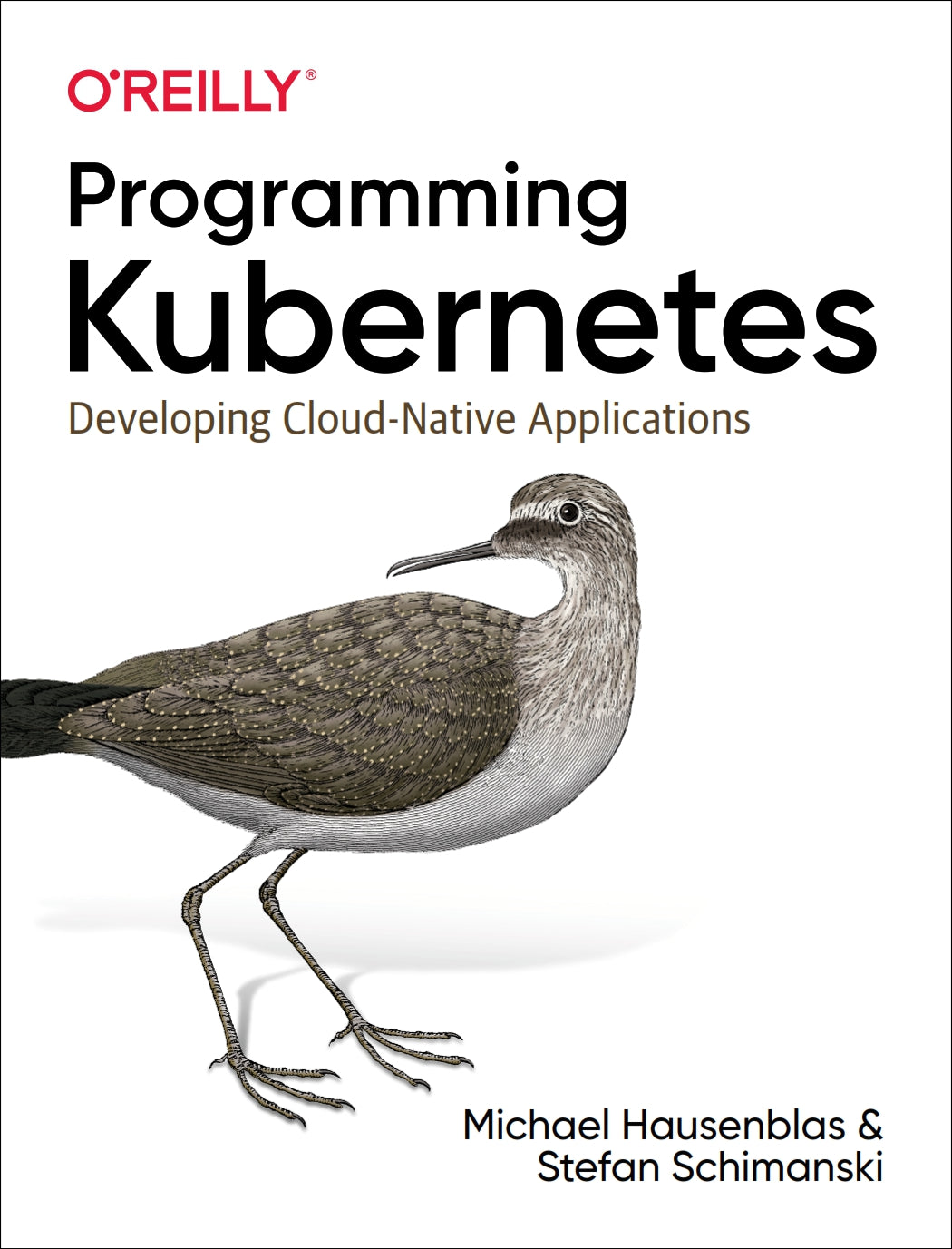Programming Kubernetes image 0
