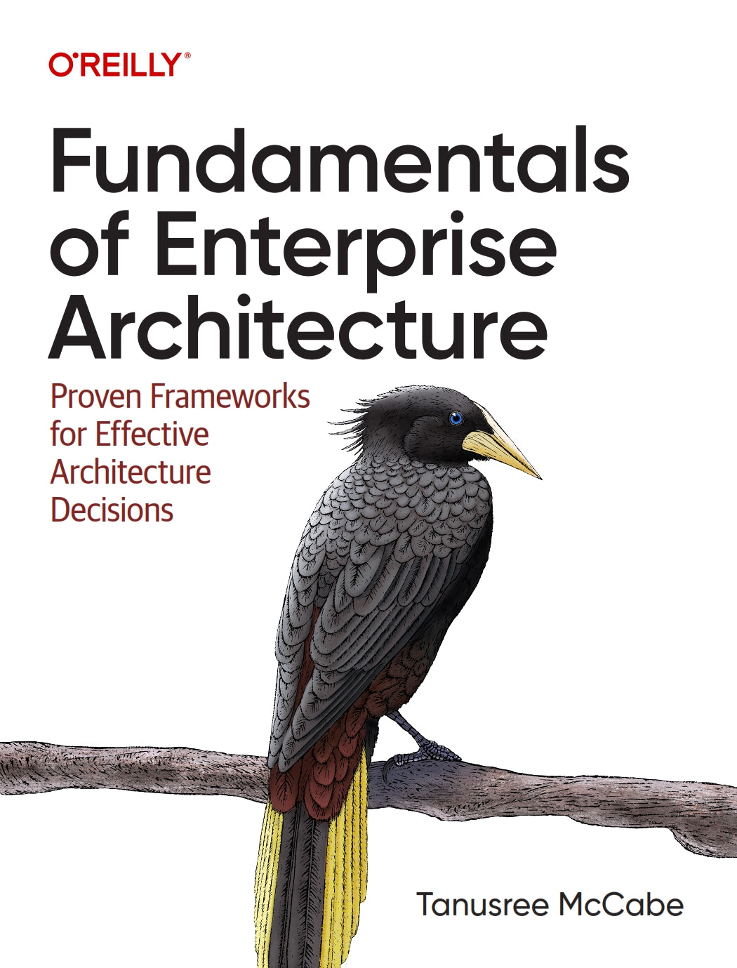 Fundamentals of Enterprise Architecture image 0