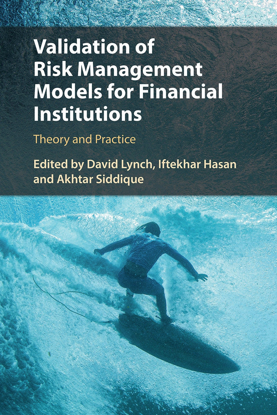 Validation of Risk Management Models for Financial Institutions, Theory and Practice image 0