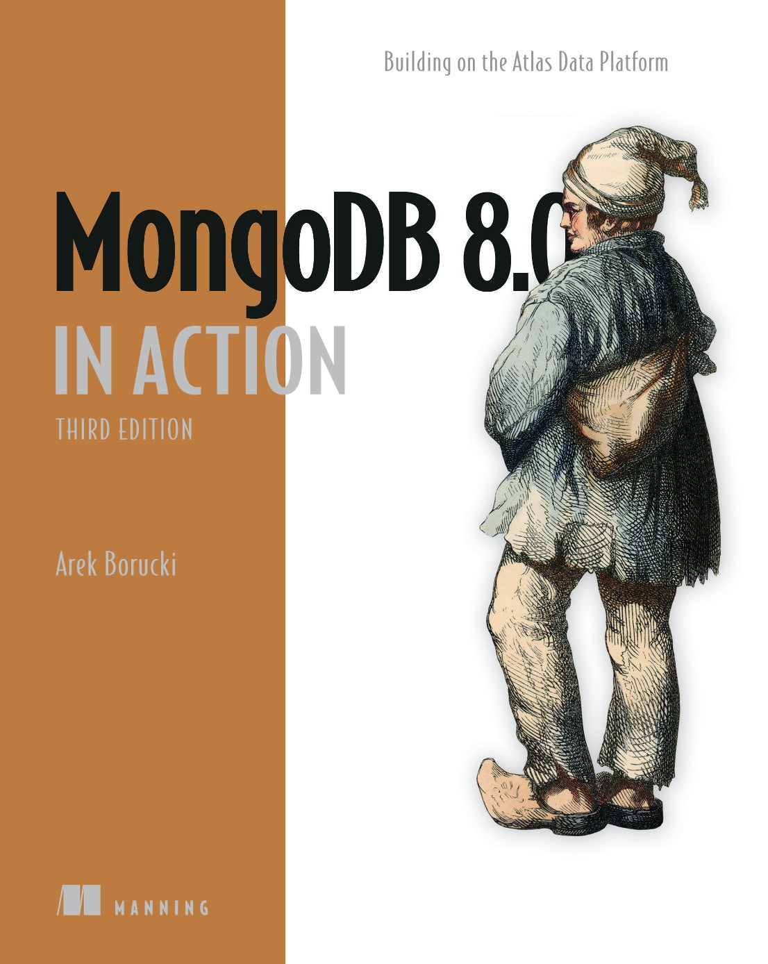 MongoDB 8.0 in Action image 0