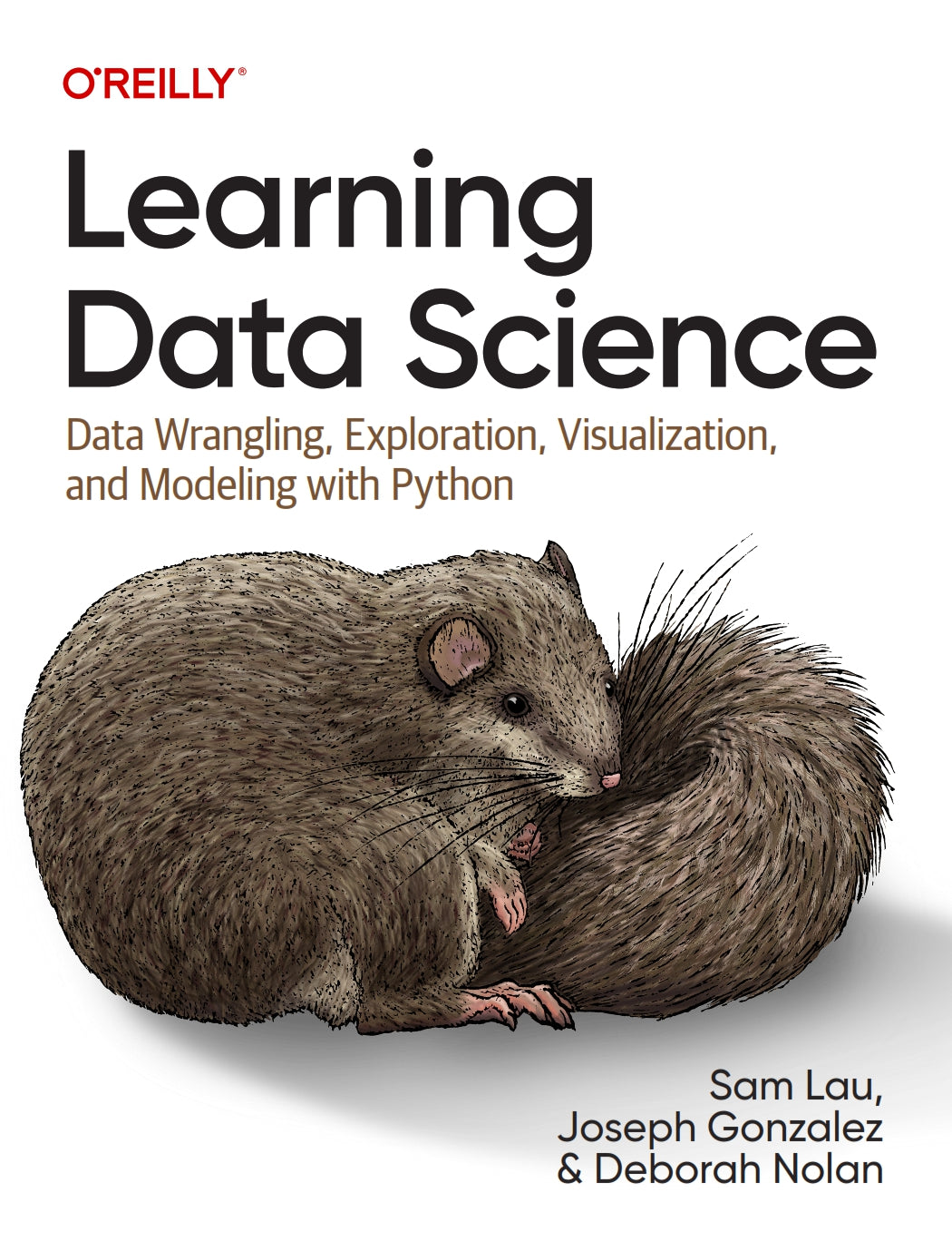 Learning Data Science image 0