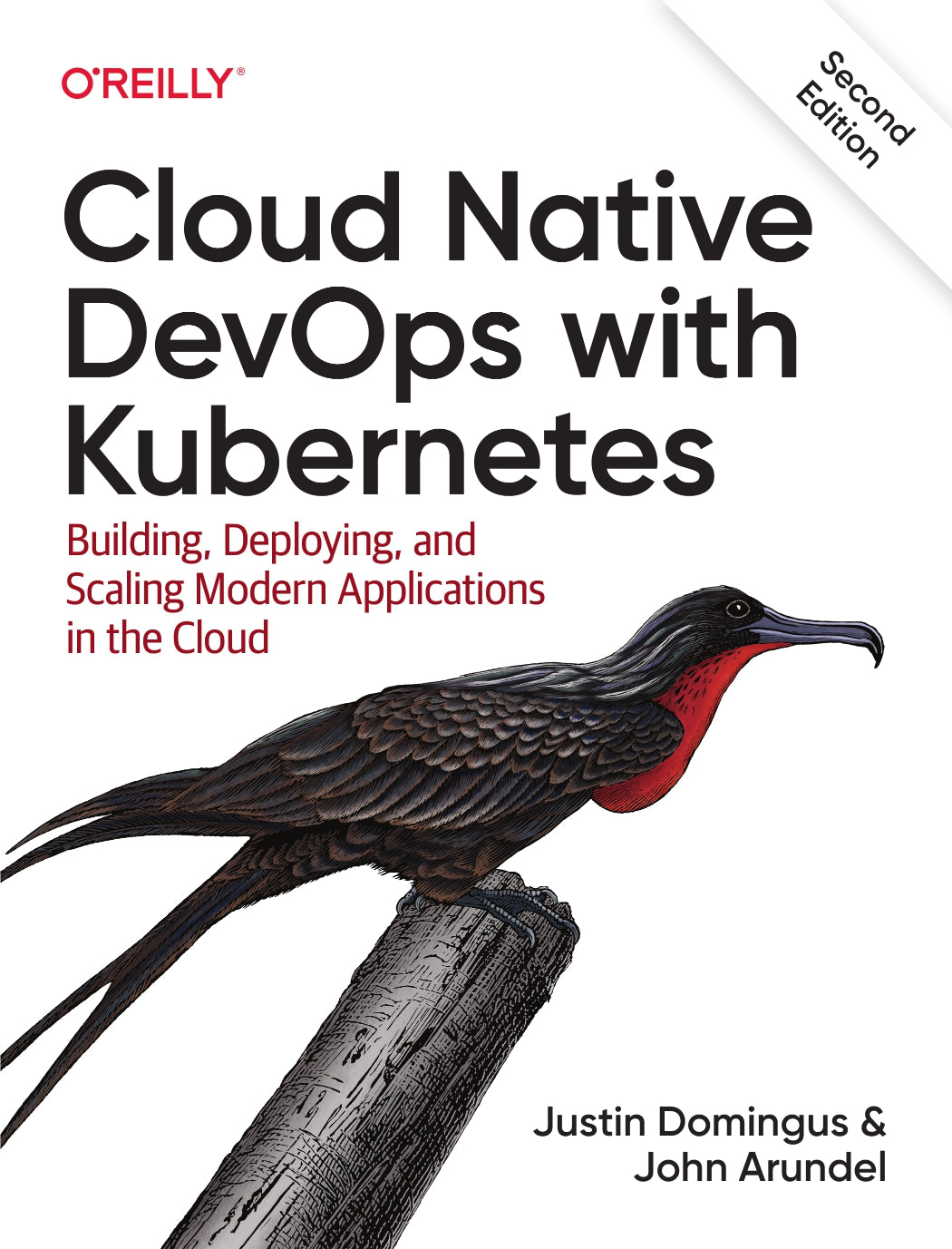 Cloud Native DevOps with Kubernetes image 0