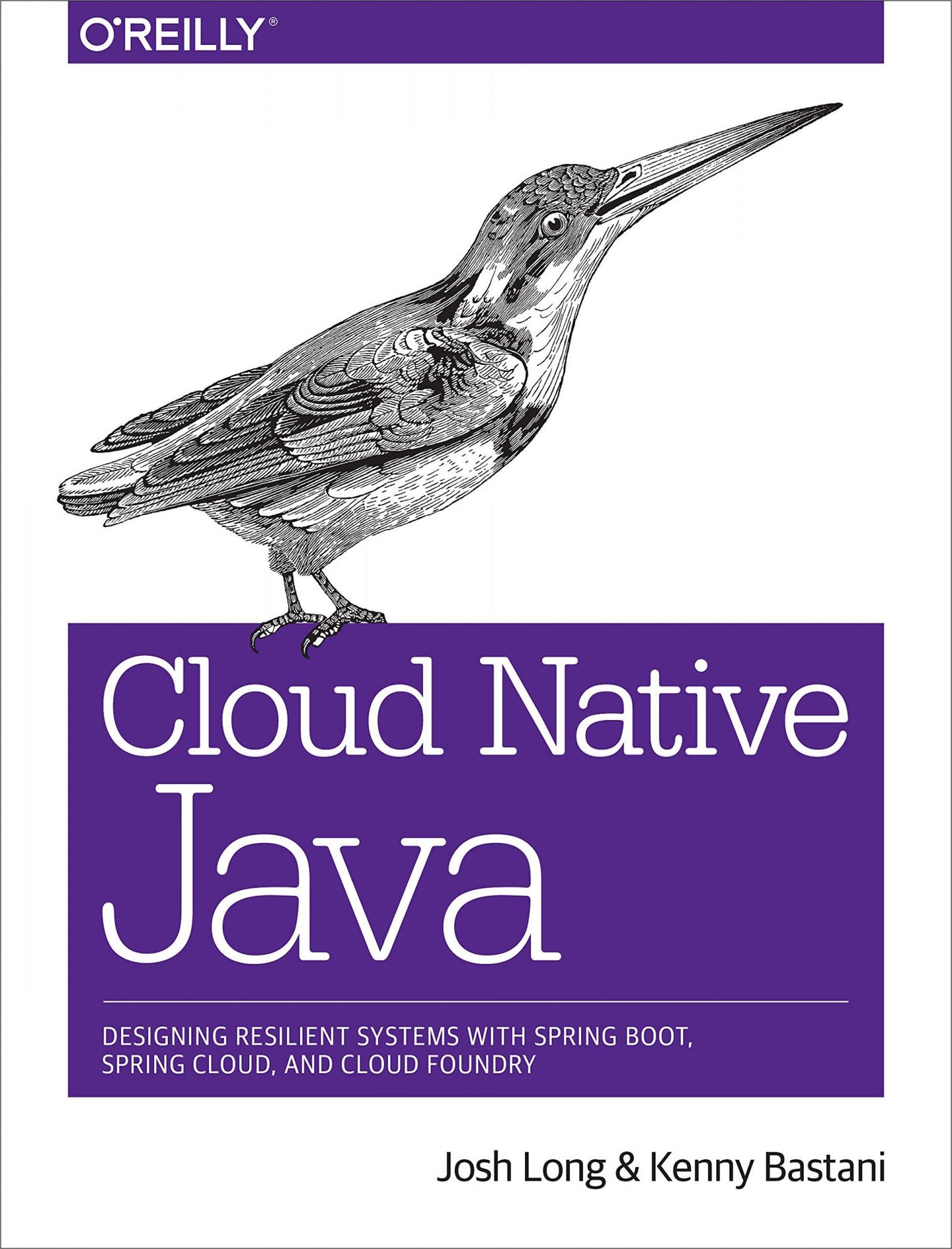 Cloud Native Java image 0