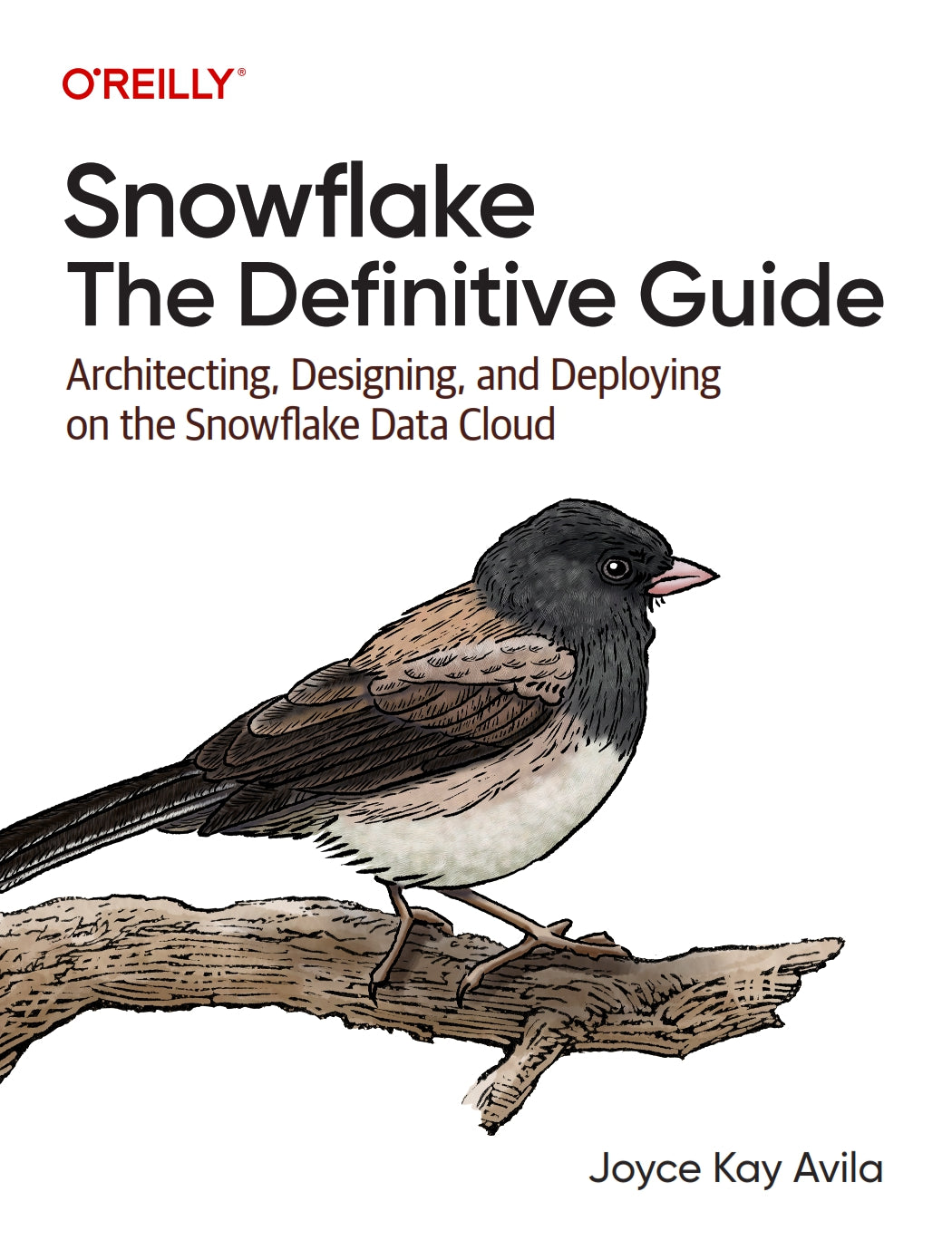 Snowflake, The Definitive Guide image 0