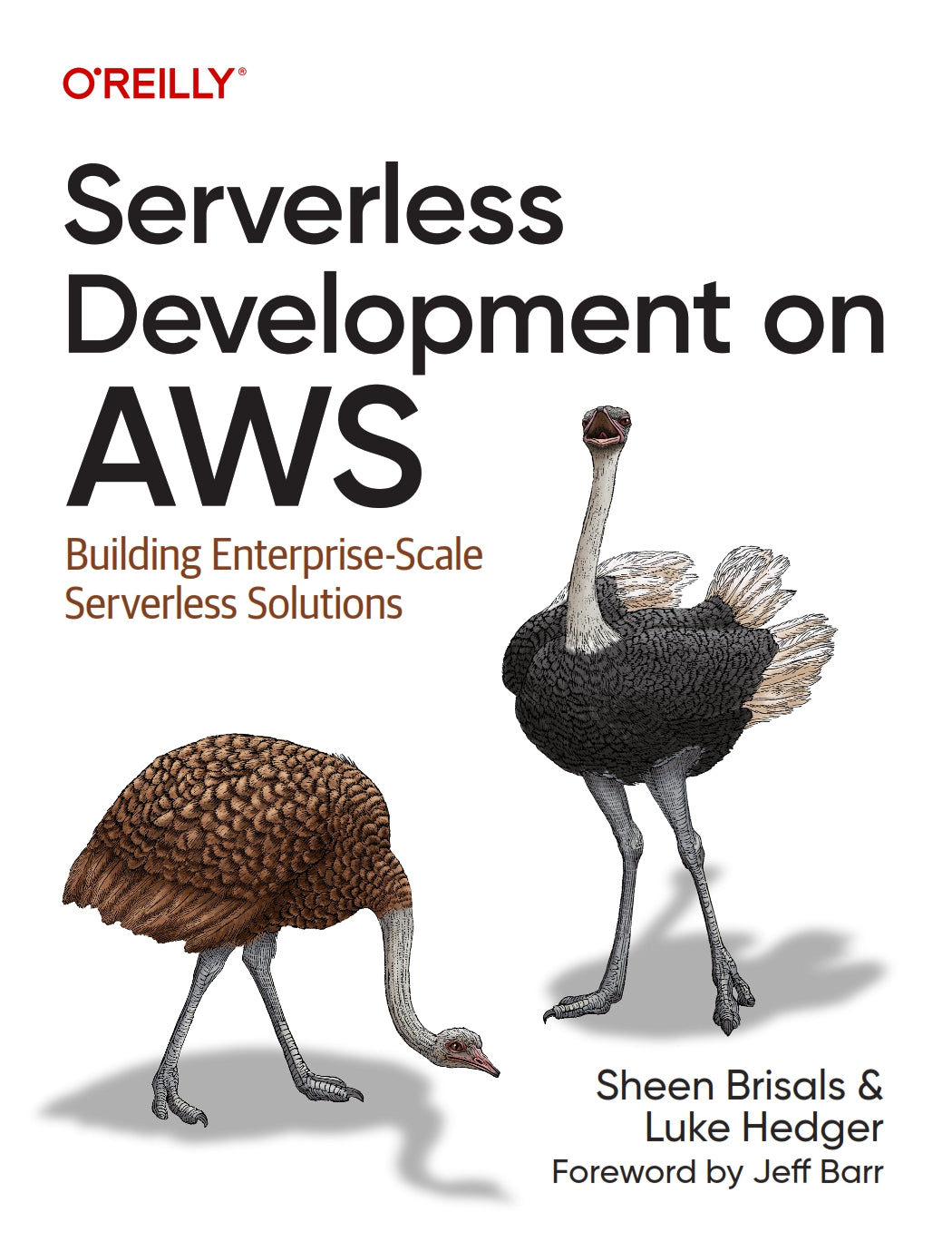 Serverless Development on AWS image 0