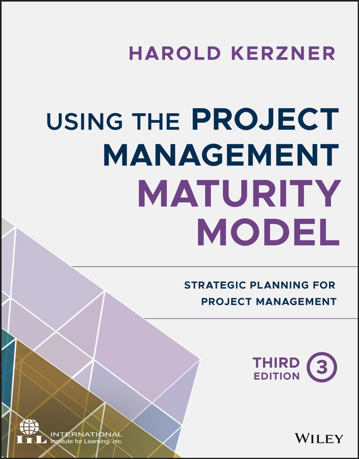 Using the Project Management Maturity Model image 0