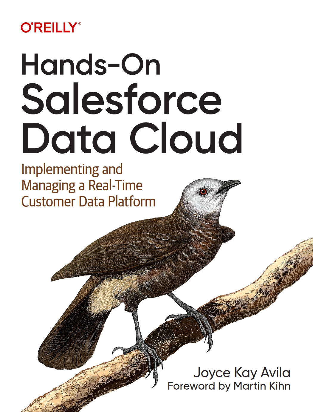 Hands-On Salesforce Data Cloud image 0