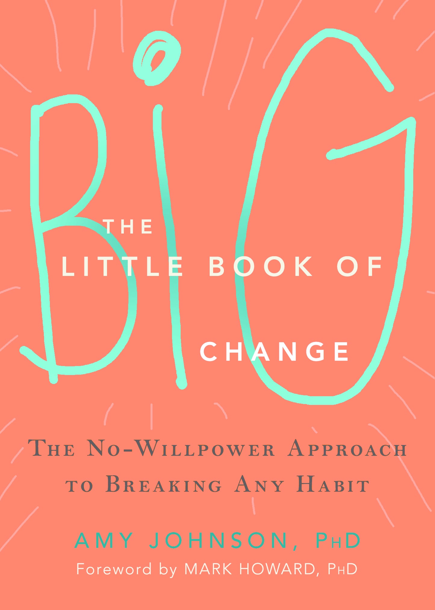 The Little Book of Big Change image 0