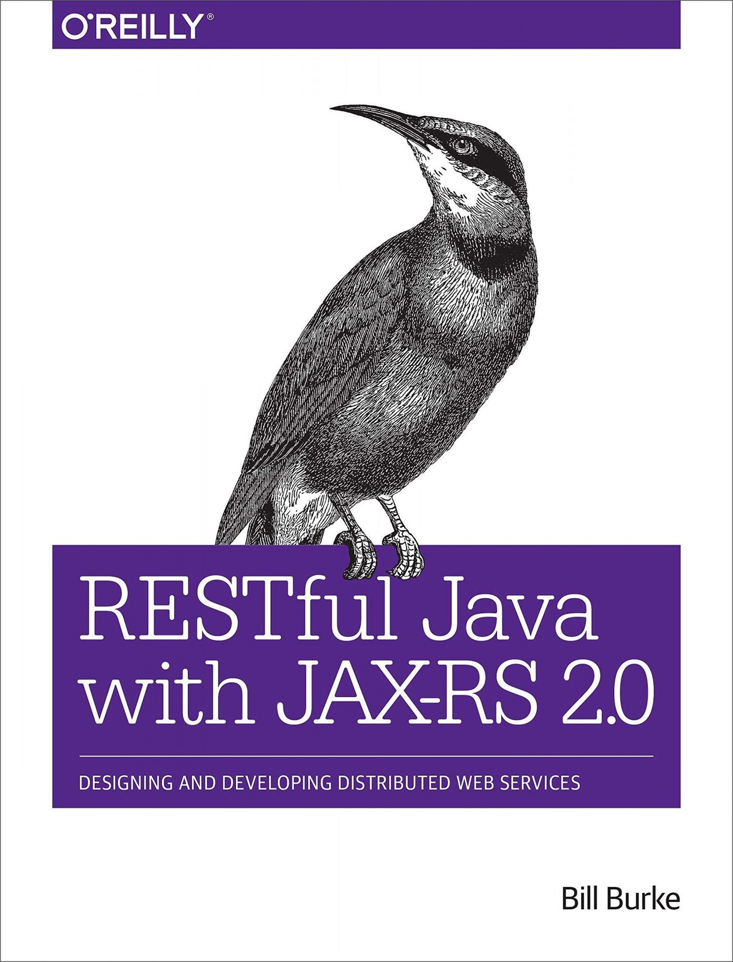 RESTful Java with JAX-RS 2.0 image 0