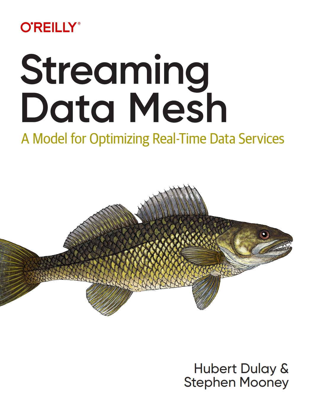 Streaming Data Mesh image 0