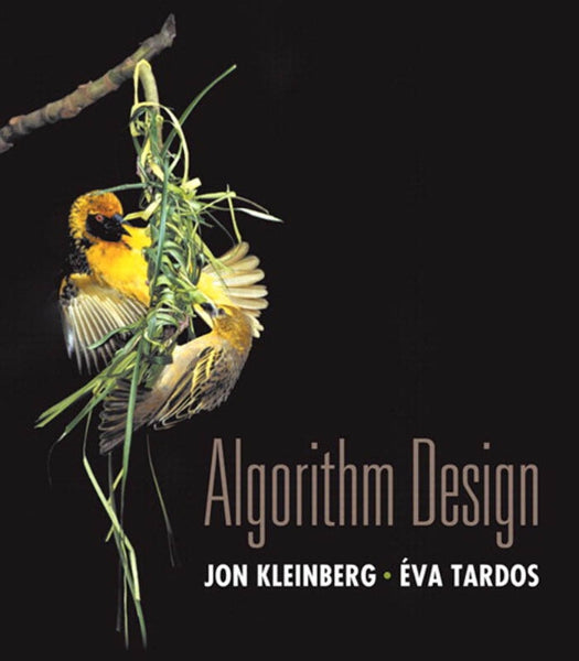 Algorithm Design image 0
