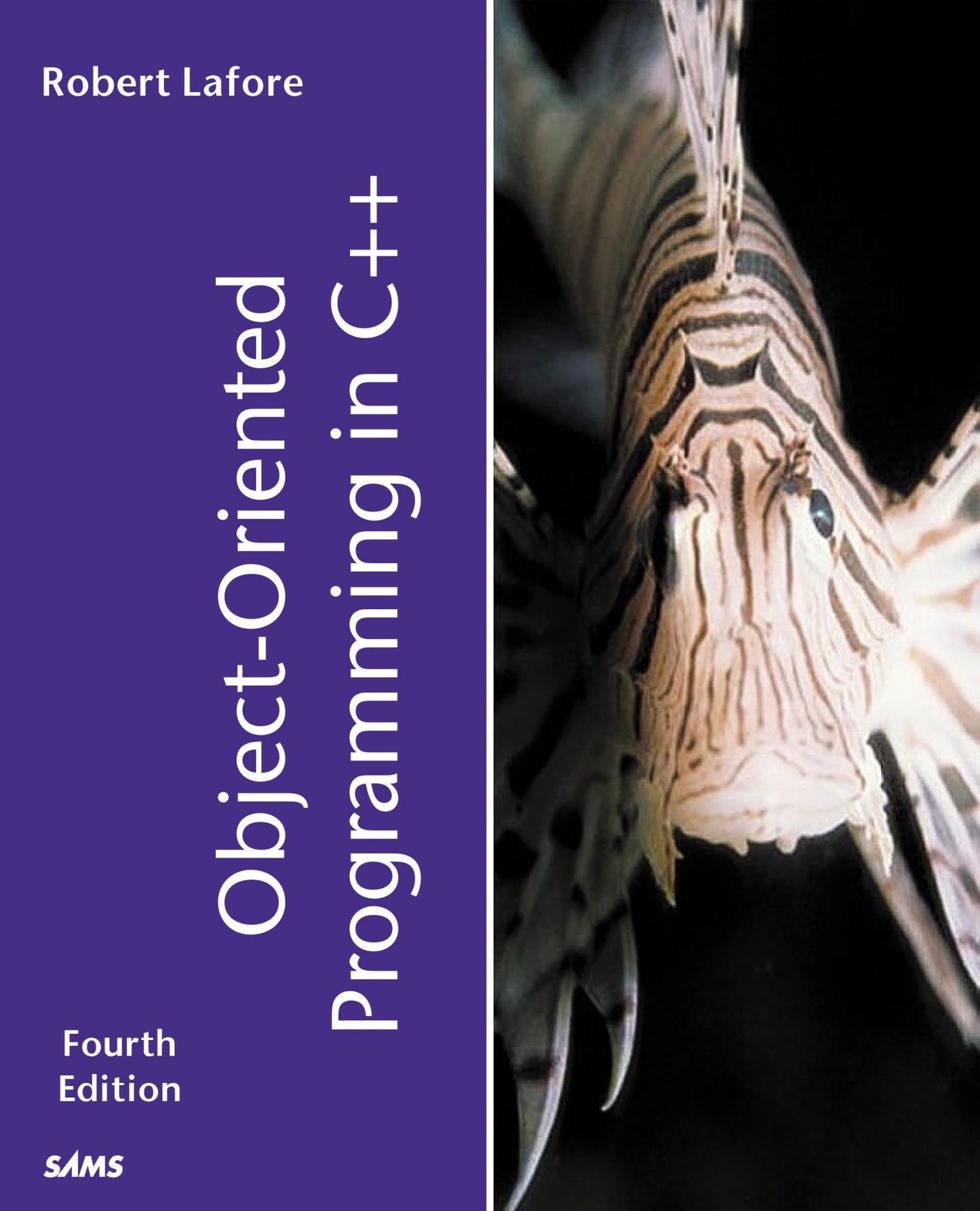 Object-Oriented Programming in C++ image 0