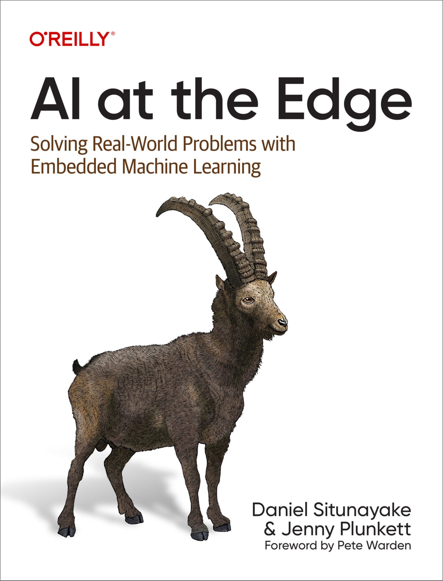 AI at the Edge image 0