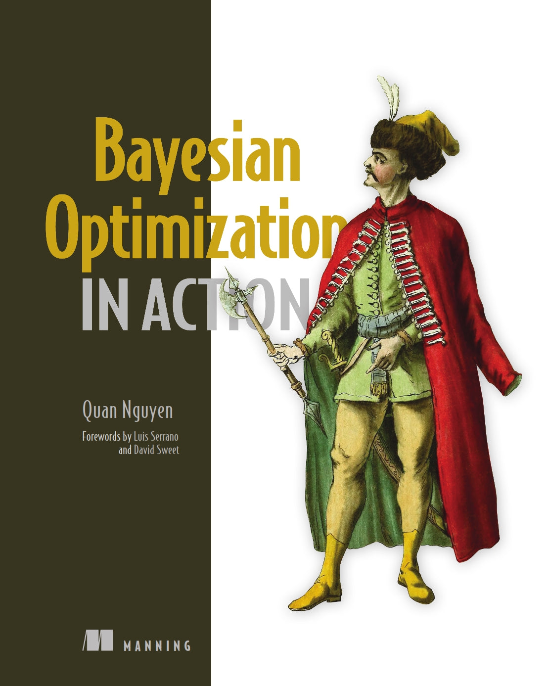 Bayesian Optimization in Action image 0