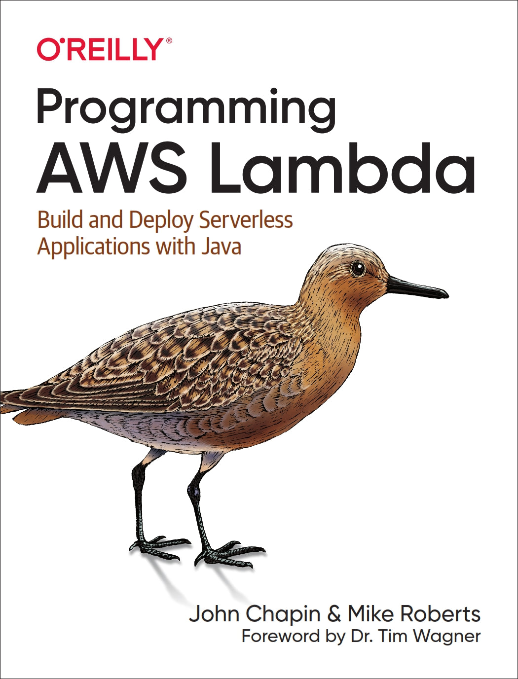 Programming AWS Lambda image 0