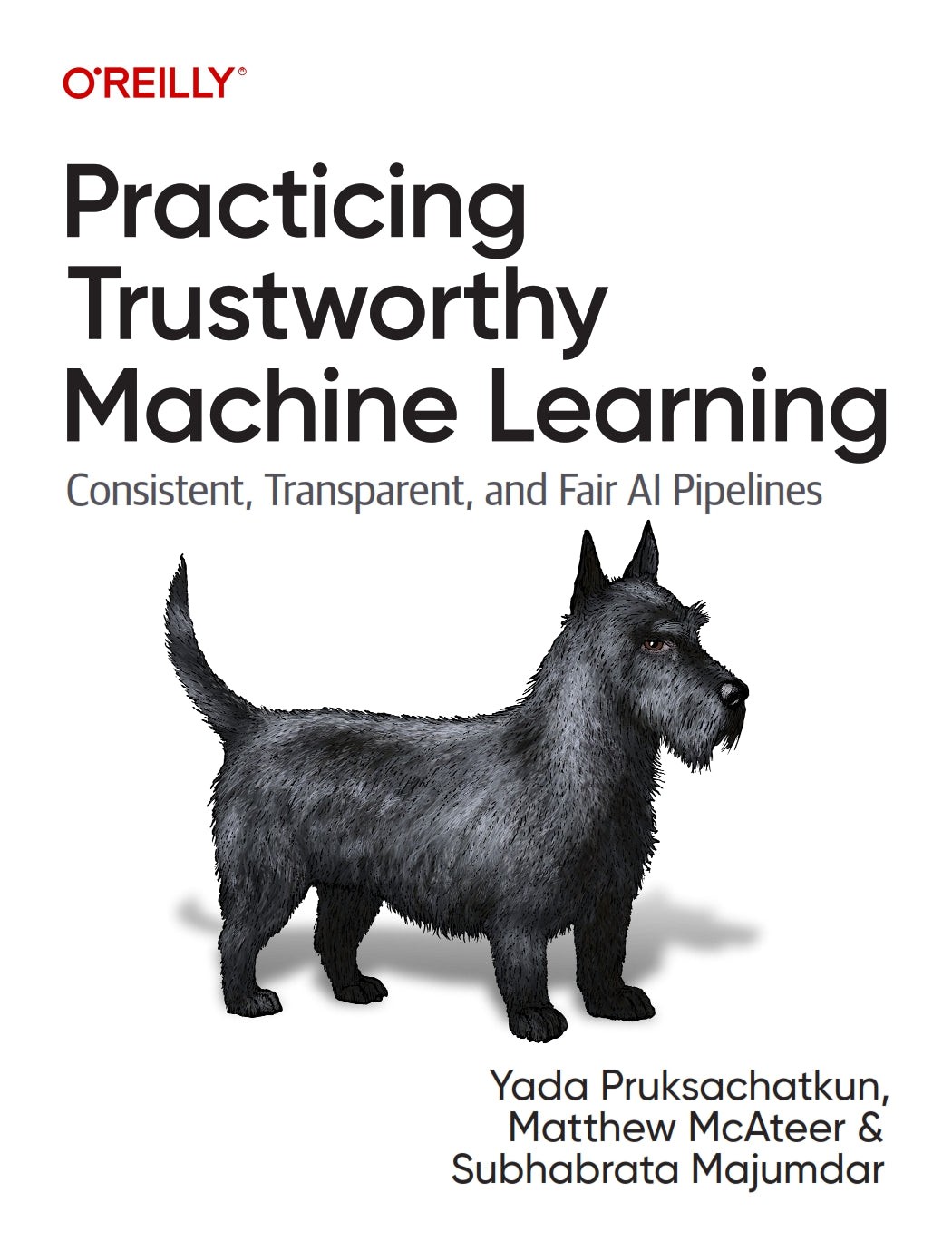 Practicing Trustworthy Machine Learning image 0