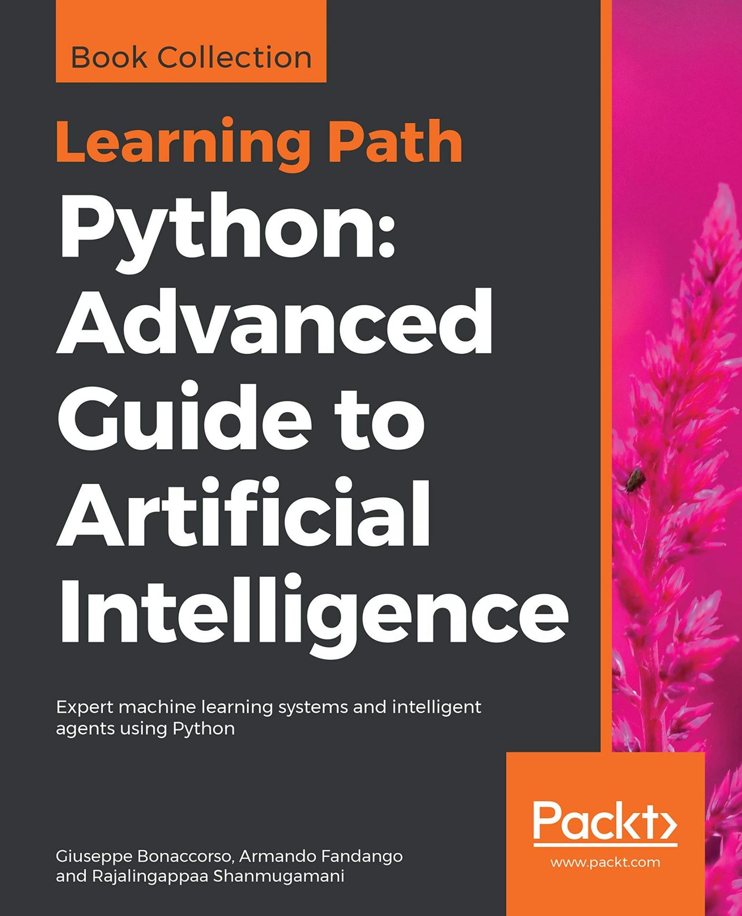 Python, Advanced Guide to Artificial Intelligence image 0
