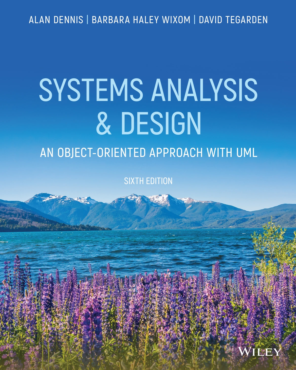 Systems Analysis and Design, An Object-Oriented Approach with UML image 0