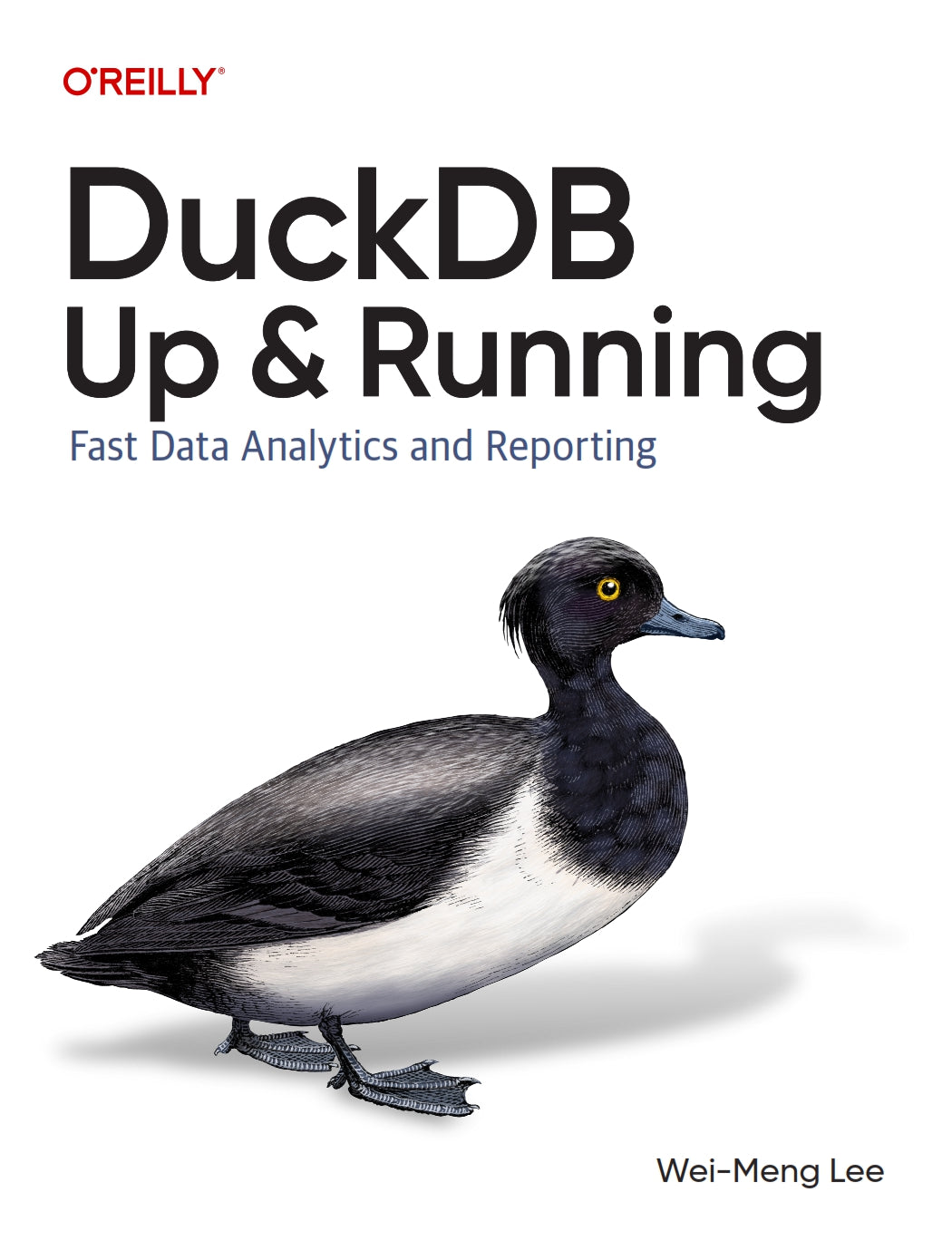 DuckDB, Up and Running image 0