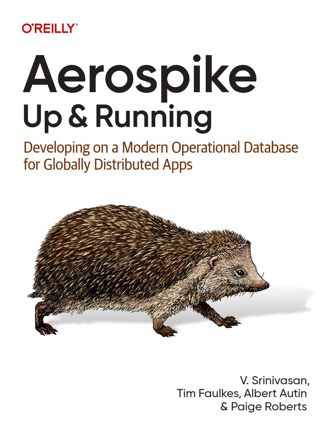 Aerospike, Up and Running image 0