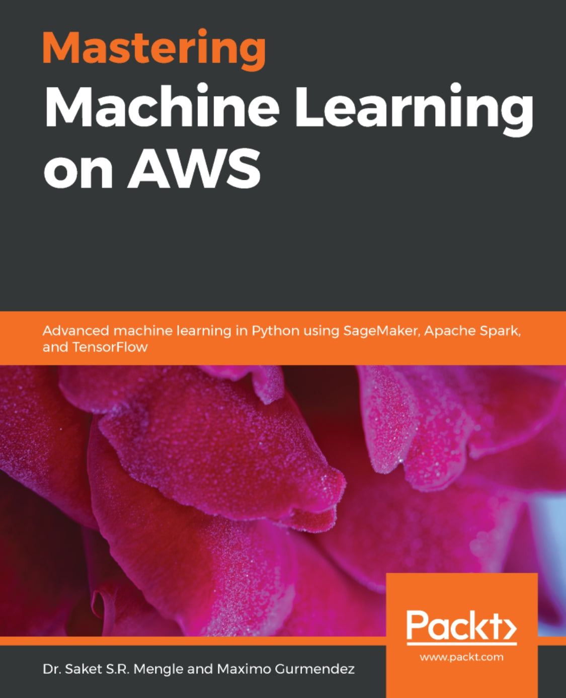 Mastering Machine Learning on AWS image 0