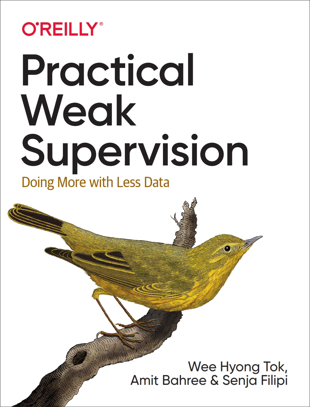 Practical Weak Supervision image 0