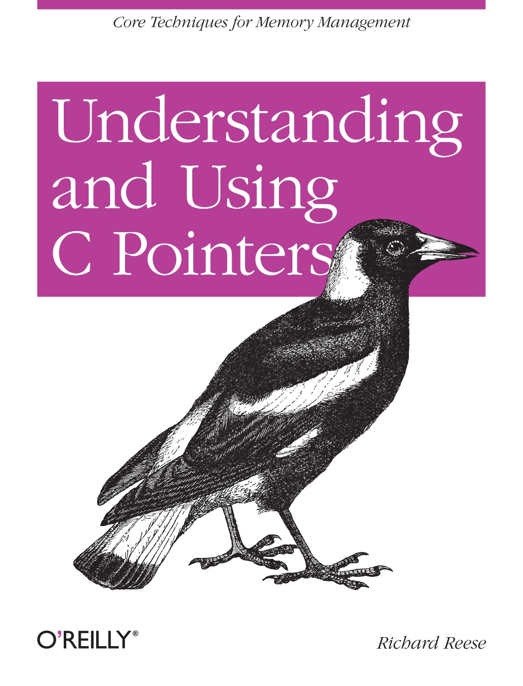 Understanding and Using C Pointers image 0
