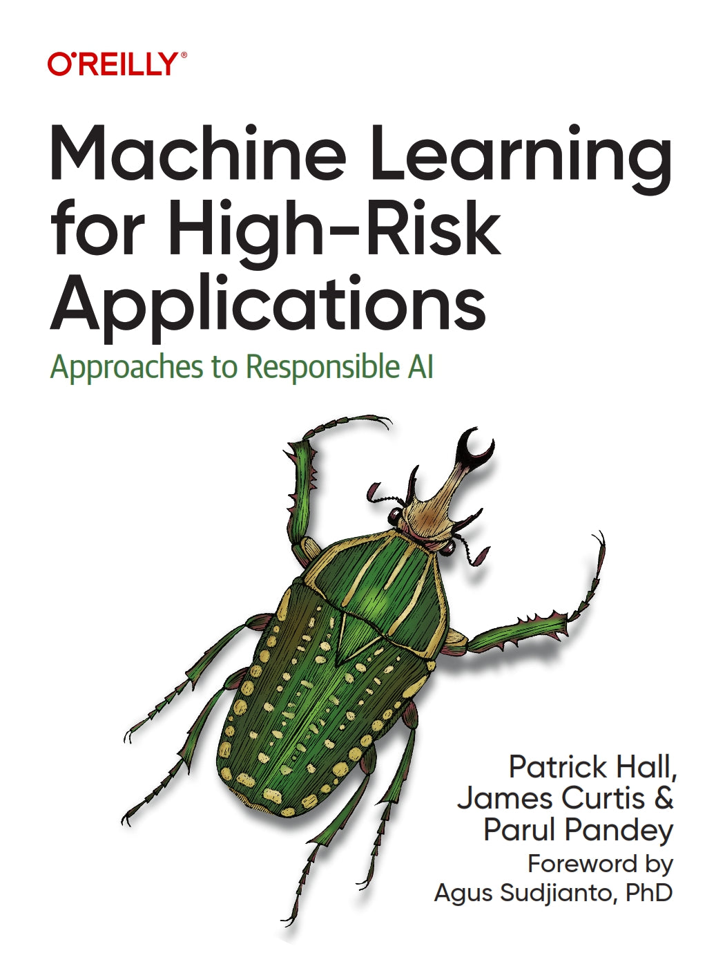 Machine Learning for High-Risk Applications image 0