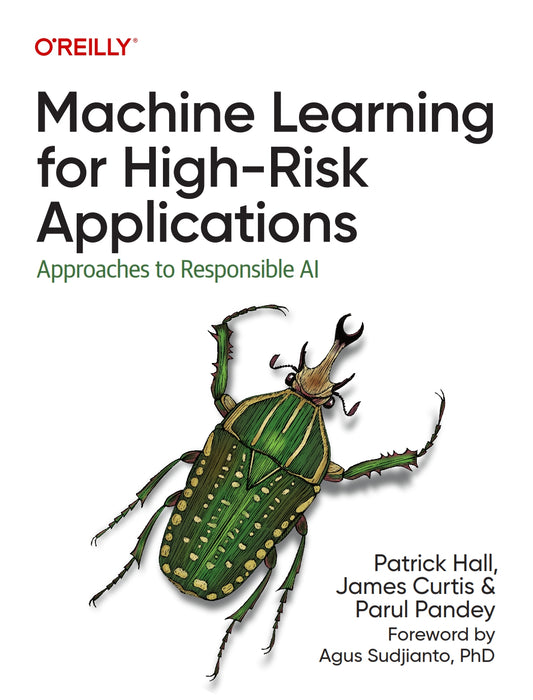 Machine Learning for High-Risk Applications image 0