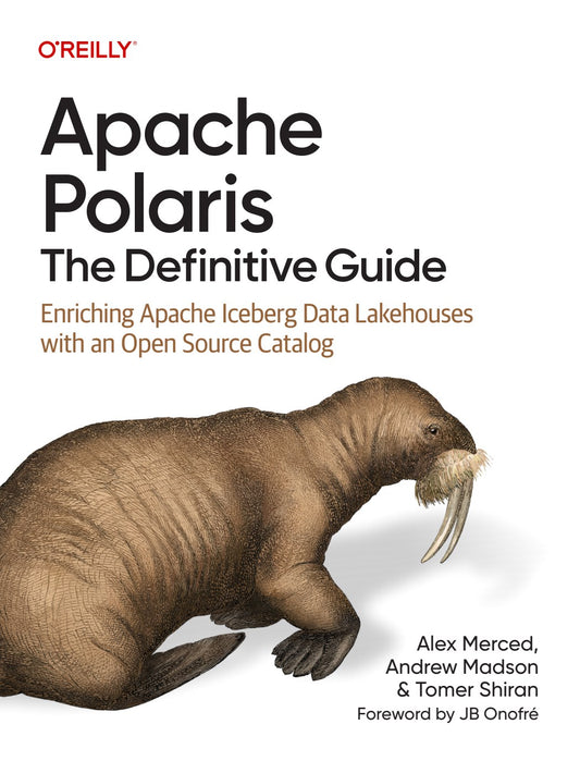 Apache Polaris, The Definitive Guide image 0