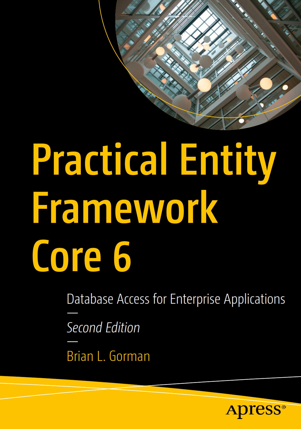 Practical Entity Framework Core 6 image 0