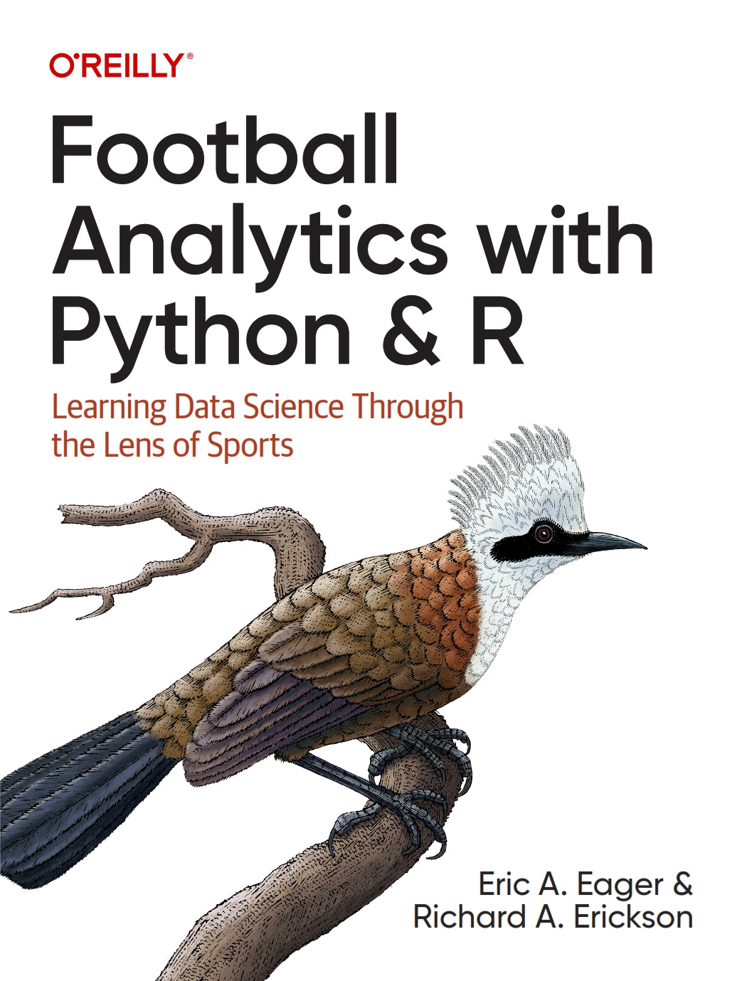 Football Analytics with Python & R image 0
