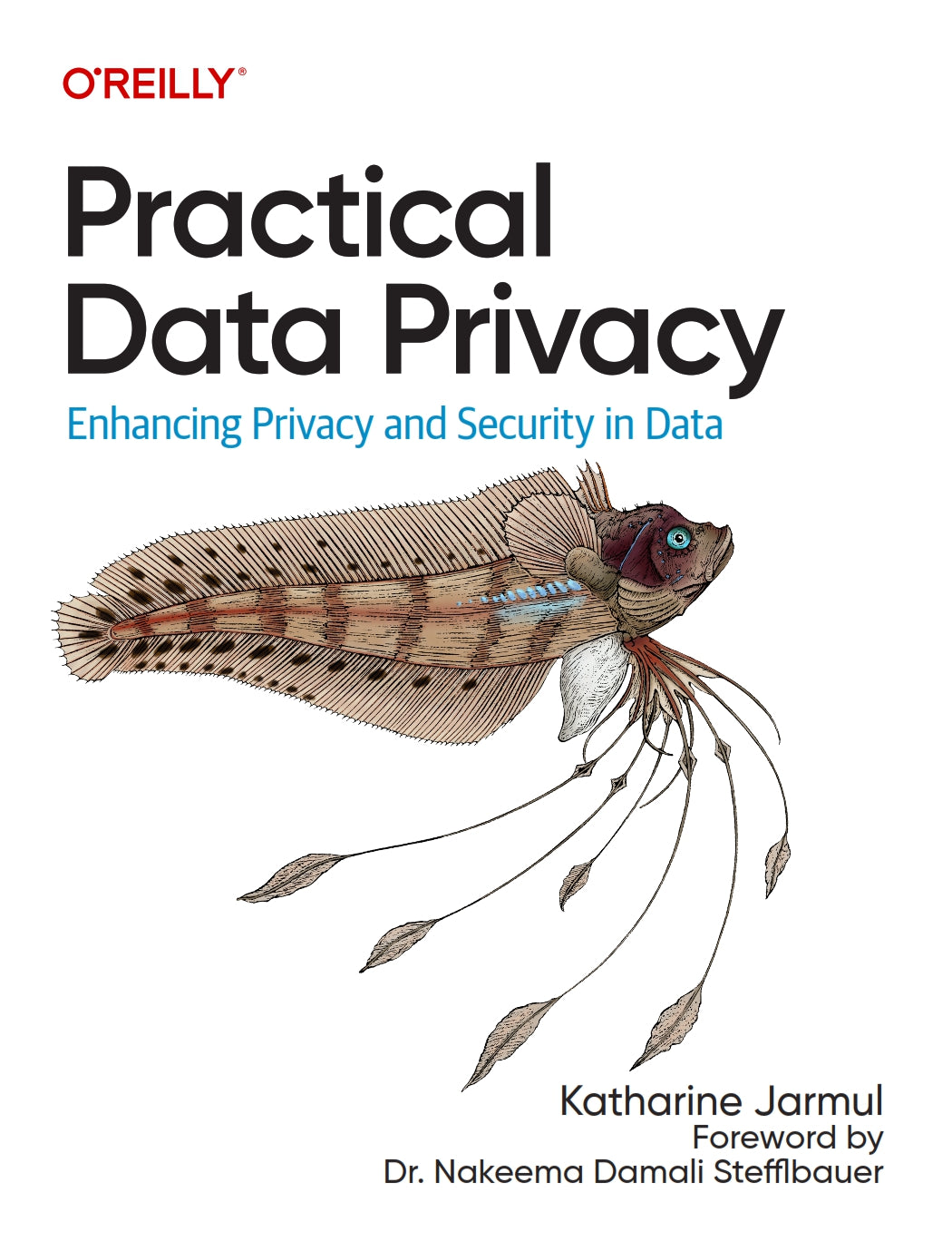 Practical Data Privacy image 0