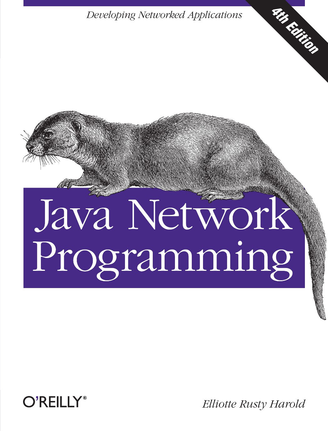 Java Network Programming image 0